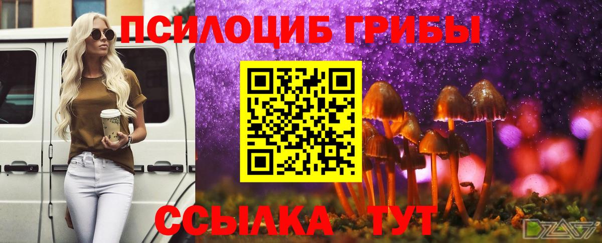 Таганрог  Галлюциногенные грибы Psilocybine cubensis  Вход с VPN 